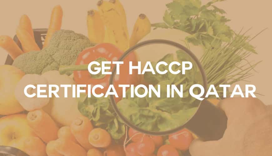 HACCP Consulting Services